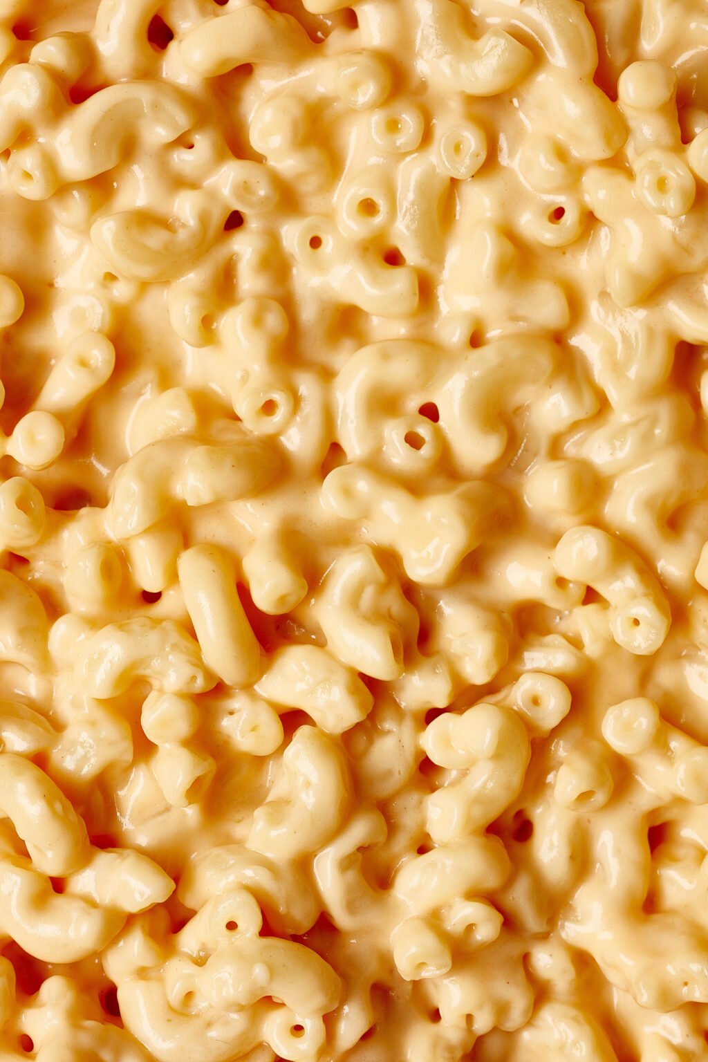 Close-up of macaroni pasta coated in creamy cheese sauce