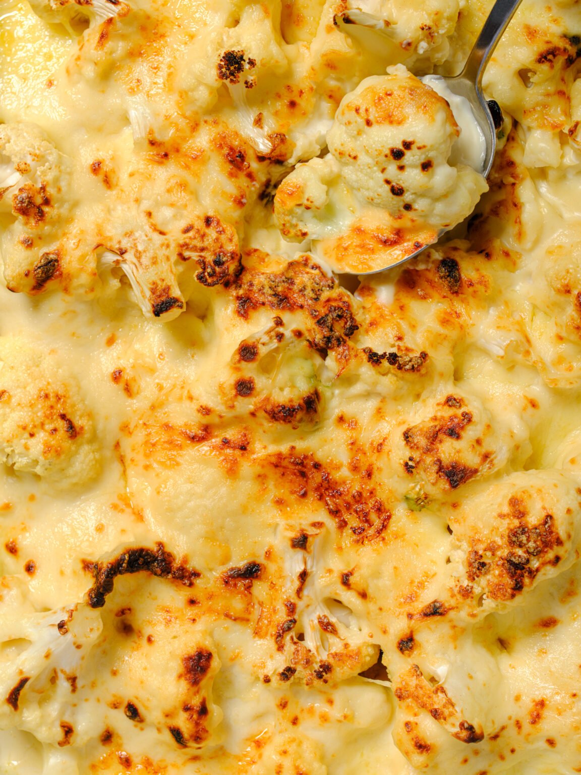 Close-up of golden, bubbling cauliflower cheese with a browned crust, a spoon lifting out a cheesy floret